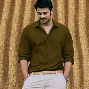 Majestic Man Linen Shirt